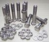 Titanium standard parts