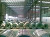 prepainted galvanized steel coil