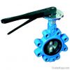 Lug type butterfly valve