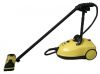 multi-function steam c...
