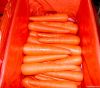 sell delicious carrot ...