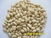 Blanched peanut kernels