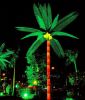 Coconut tree light