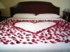 rose petals