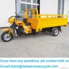 cargo tricycle for sale