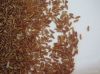 Vietnamese red rice