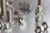 Sainless steel Flange & Fasteners