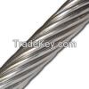 Stainless Steel Wire