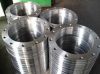 Nitronic Threaded Flanges