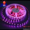 SMD 5050 waterproof Fl...