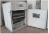 automatic egg incubator