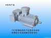 Explosion-Proof Motor ...