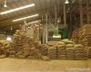 Export Coffee Beans | ...