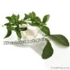 Food Grade Stevia Leaf...