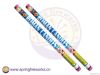 802 1.2inch fireworks roman candle