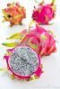 Dragon Fruit of Viet N...