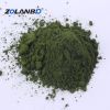 Chlorella