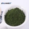 Chlorella