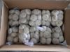 white garlic