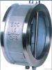 Steel Check Valve