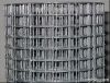 Welded Wire Mesh Roll