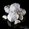 2011 jinxiang garlic (...