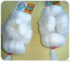 garlic from China