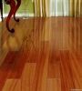 Solid Hardwood Flooring