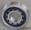 Cylindrical Roller Bearings