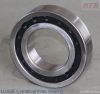 Cylindrical Roller Bearings