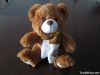 Teddy bear