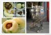 fish  ball making mach...