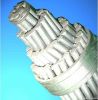 AAC all aluminum conductor