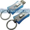 2GB USB flash disk wit...
