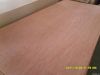 Bintangor Plywood
