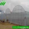 Multi-span greenhouse