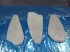 Arrow Tooth Flouder (A...