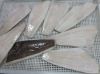 Arrow Tooth Flouder (A...