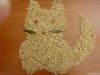 Premiun Pine Wood Cat ...