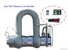 Telemetry Load Shackle...