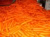 Fresh Carrots