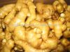 fresh Chinese new crop...