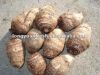 small taro