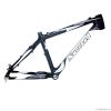 carbon MTB frame