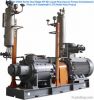 Liquid Ring Vacuum Pumps (Compressors), Water Ring Vacuum Pumps