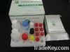 Ractopamine rapid test strips