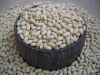 blanched peanut kernels