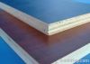 HPL plywood
