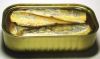 CANNED SARDINES | CANN...