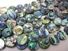 abalone shell bead/paua shell